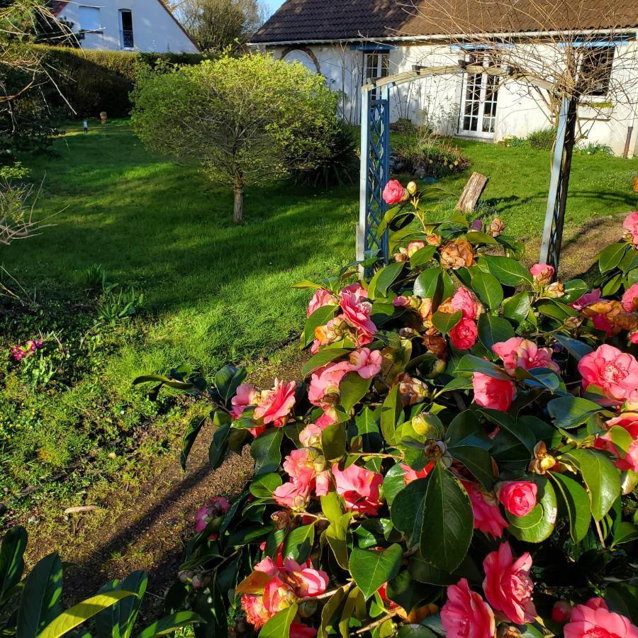 Maison Au Calme Avec Jardin Pres Du Chateau, Foret Et Plage Condette Extérieur photo